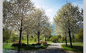 Tiny House - Komfort Und Natur Im Seefeld Park Sarnen